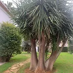 Casa *